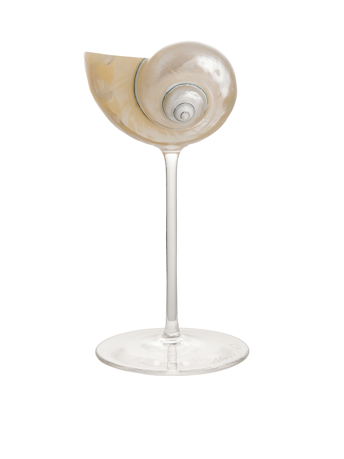 Ariel Pearl Snail sklenice