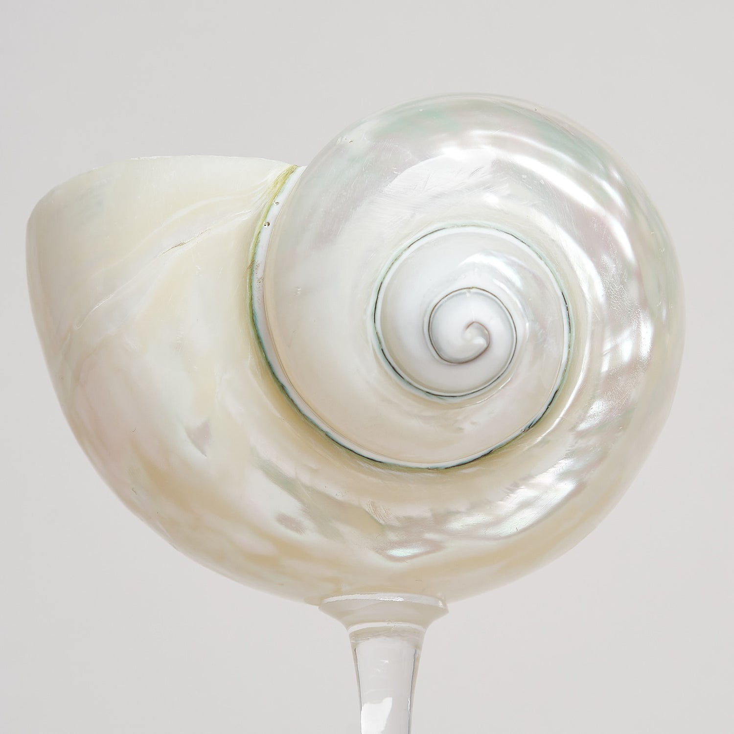 Ariel Pearl Snail sklenice
