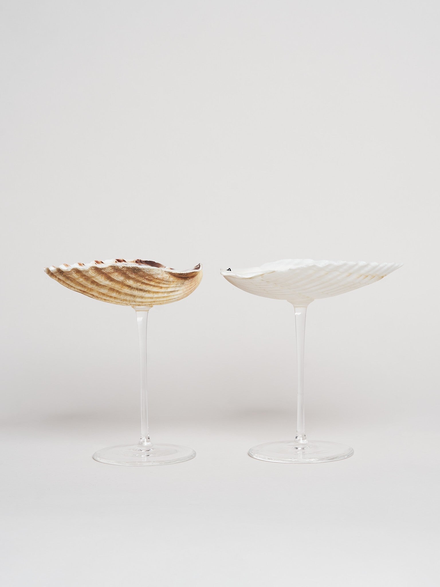 Ariel Scallop sklenice