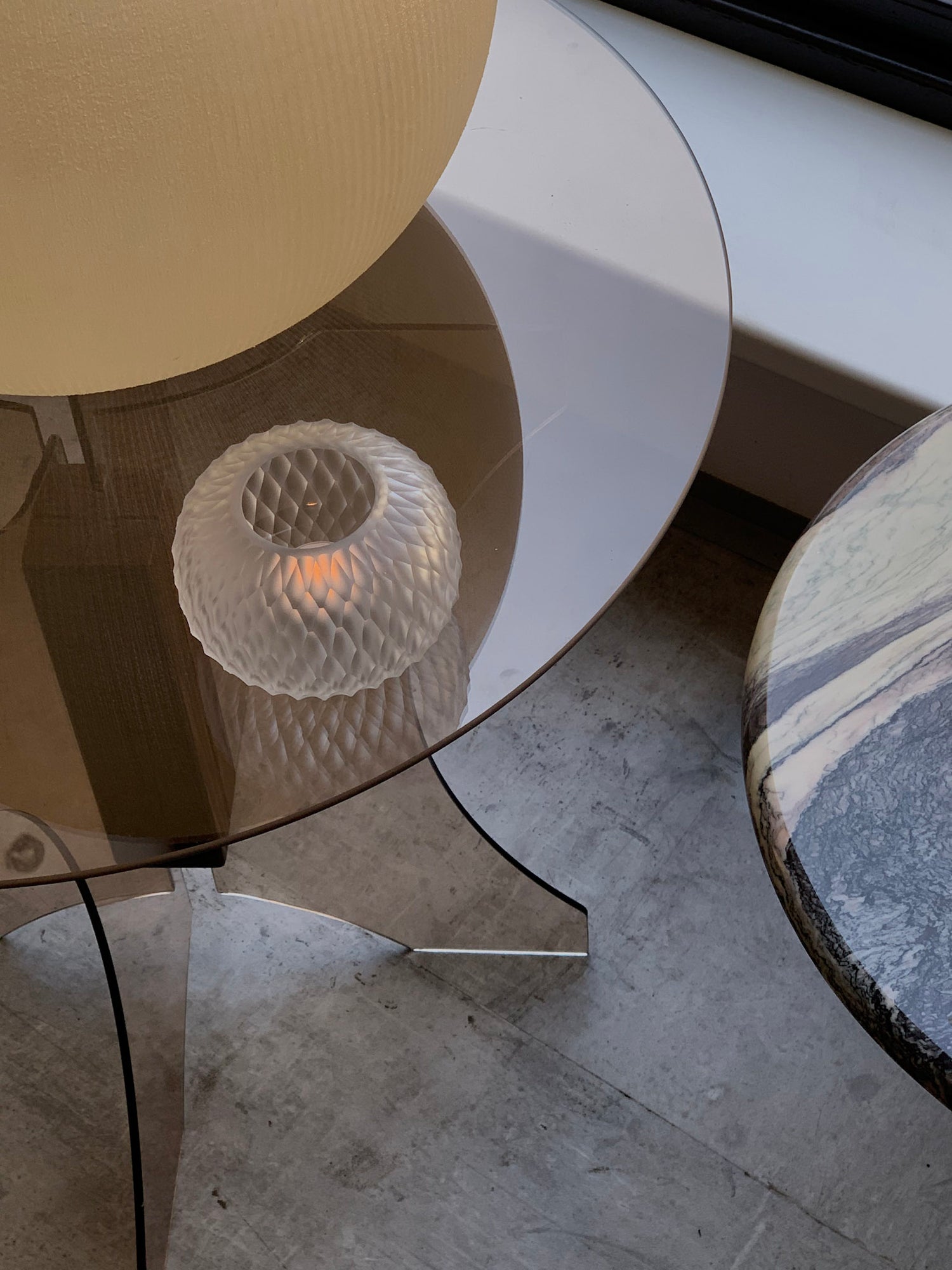 Metamorphosis svícen - čirý