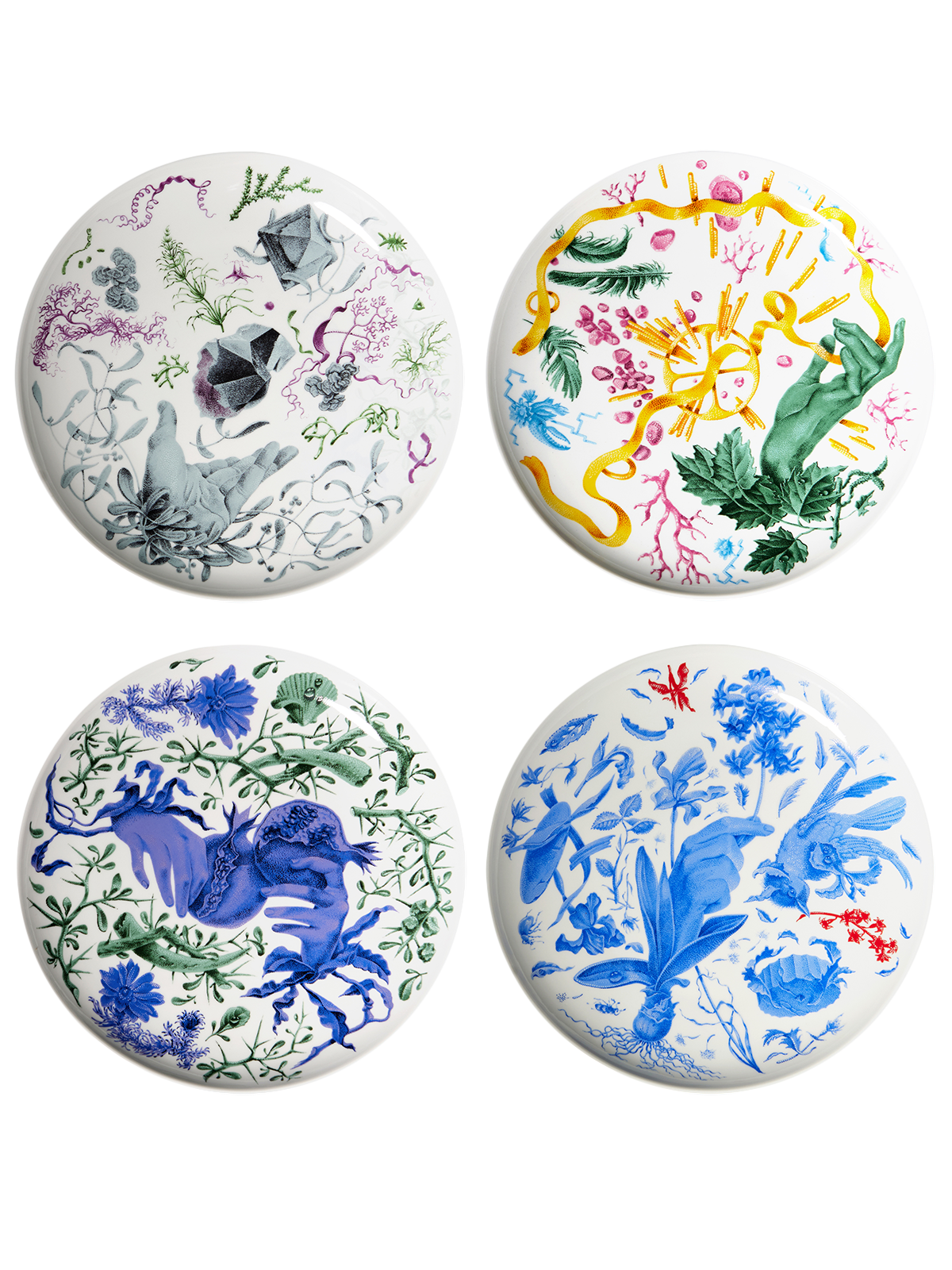 Phaeton jídelní talíř