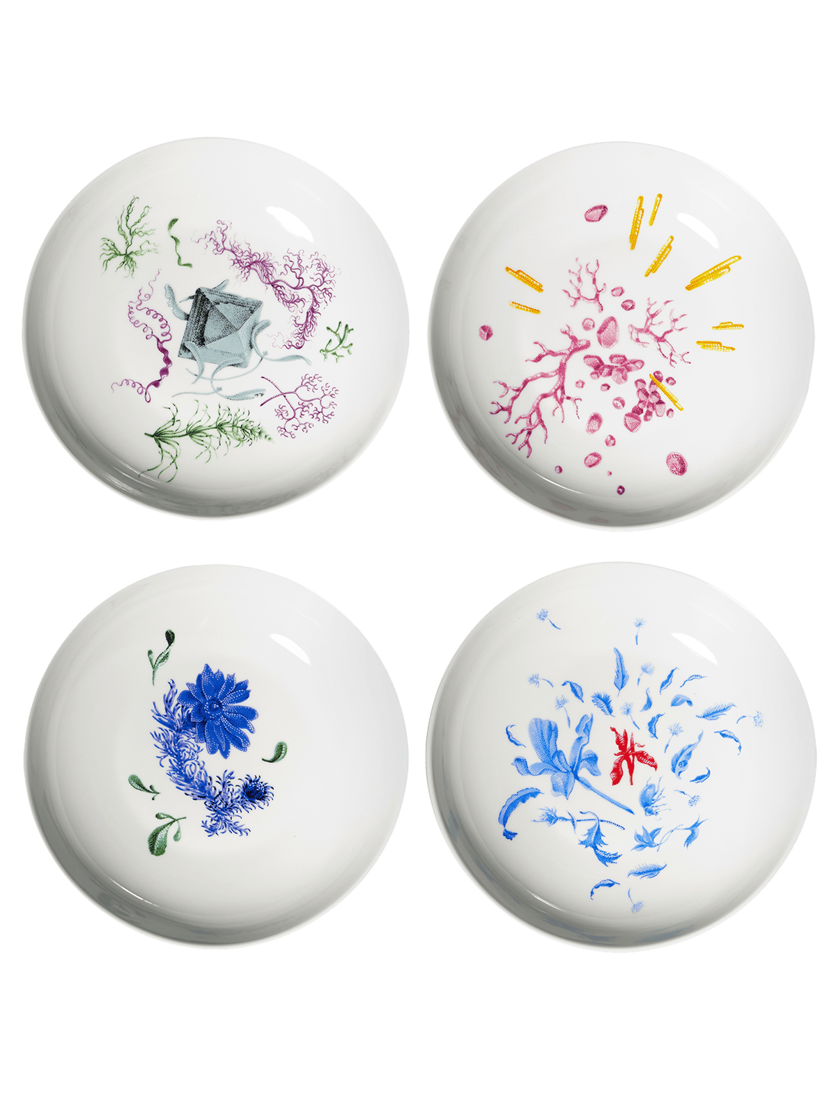 Adonis deep plate
