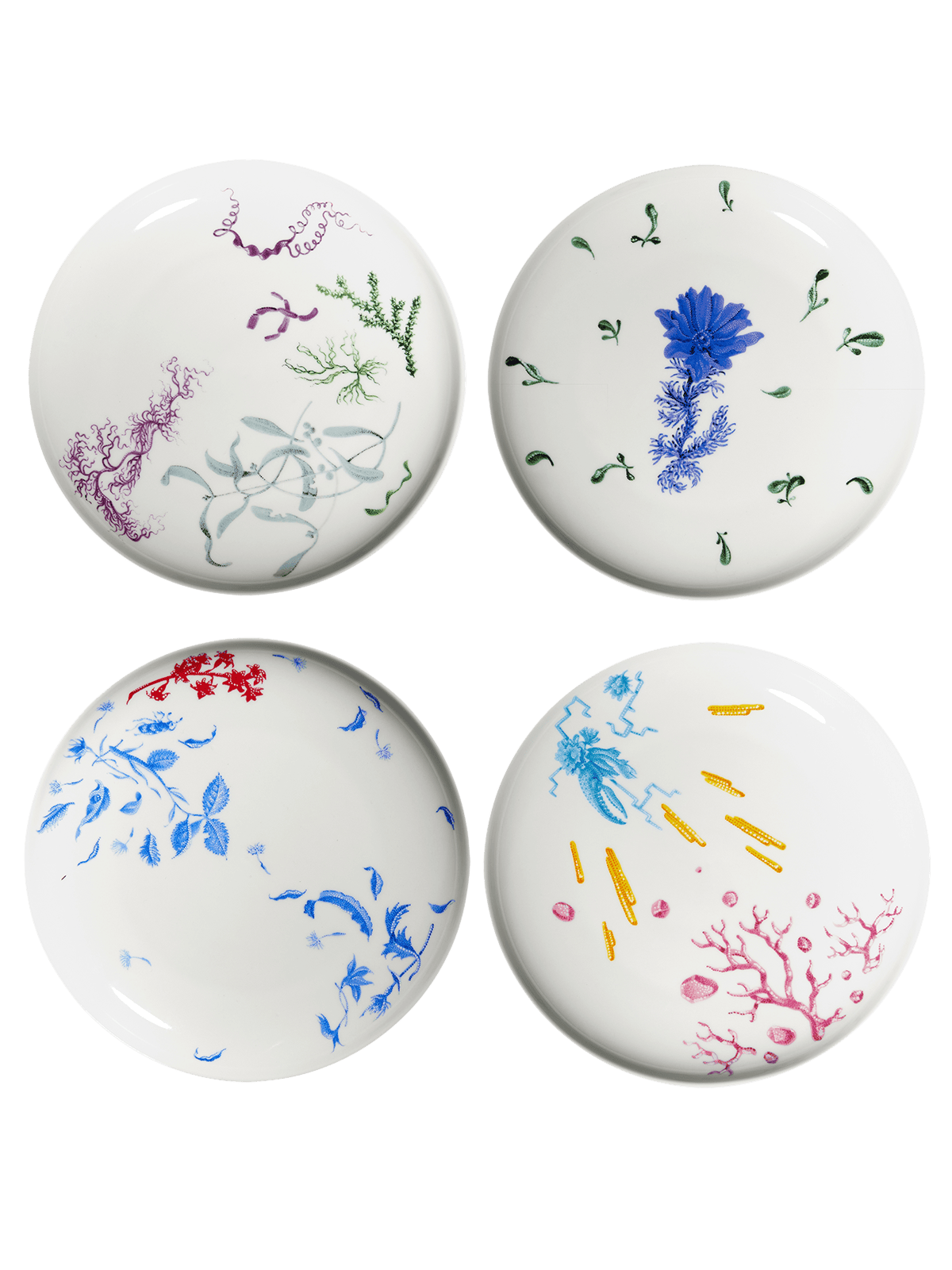 Adonis dessert plate