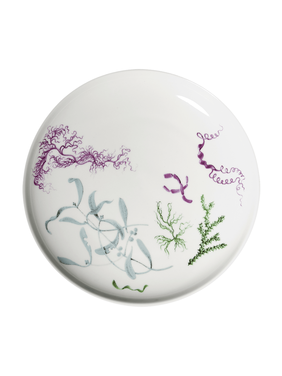 Deucalion dezertní talíř