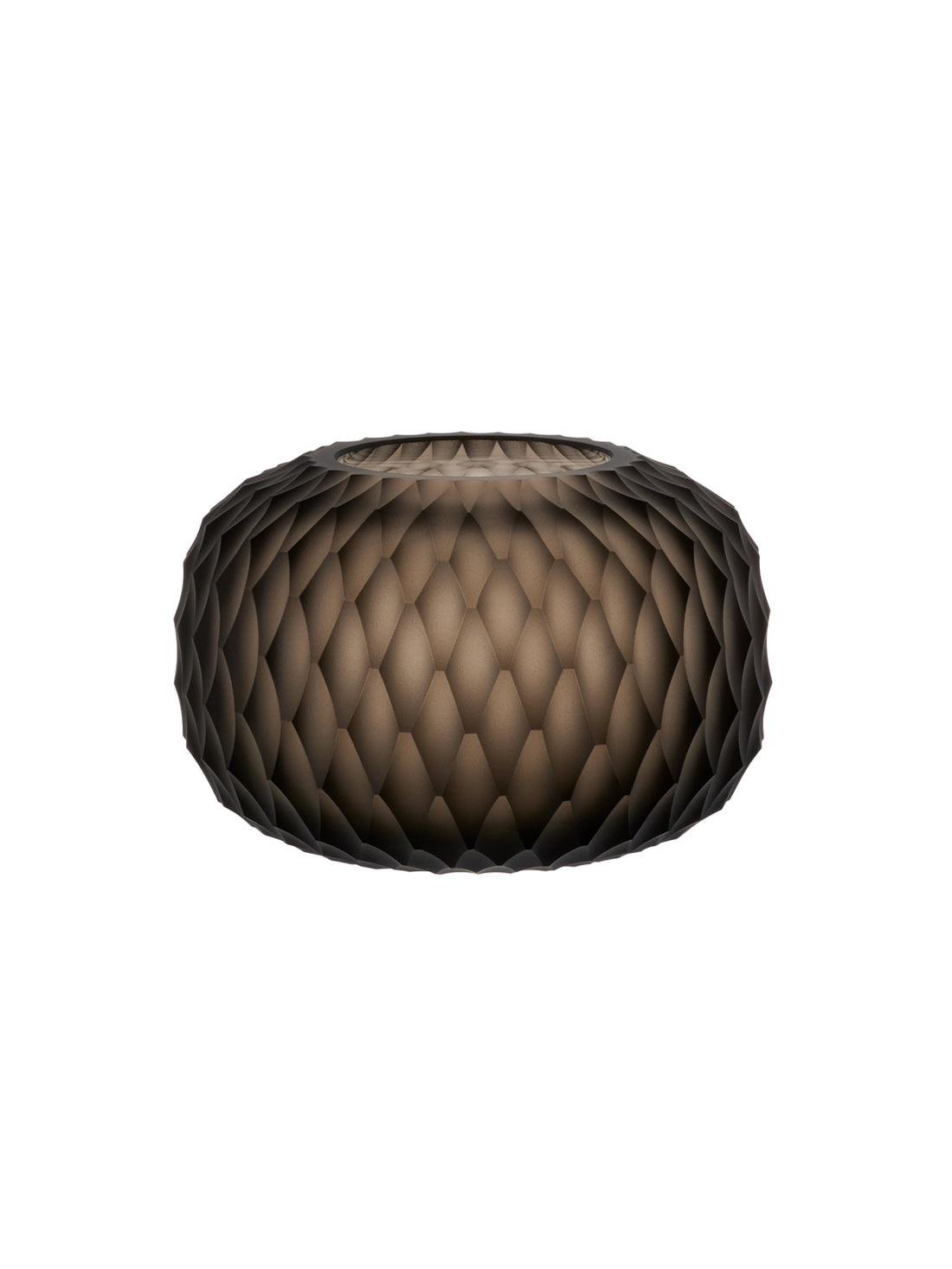 Metamorphosis svícen - kouřový